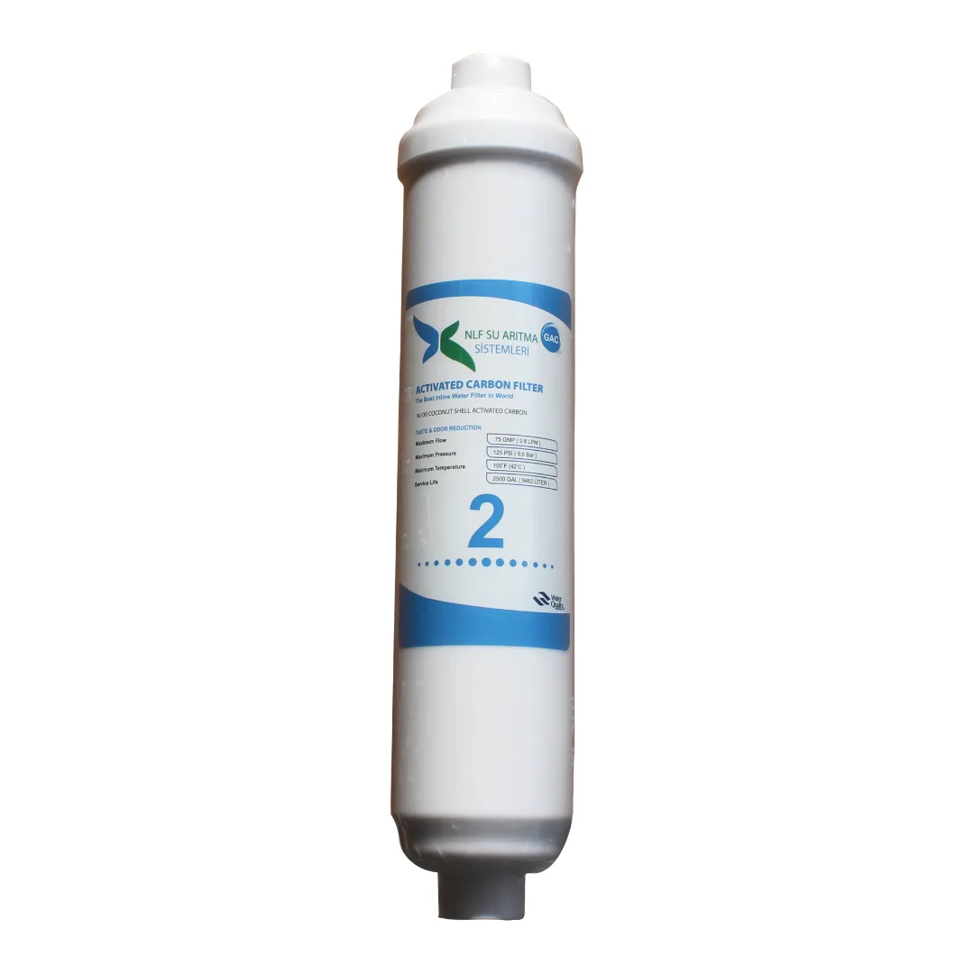 Nlf 12'' GAC Granül Karbon Filtre